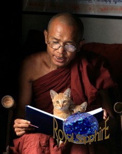 10-буддийский монах читает книгу
